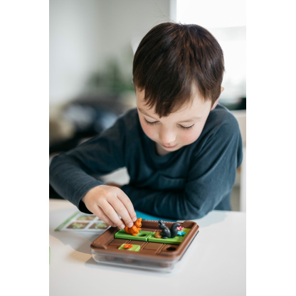 Smart Games Veveričke nabirajo želod ( 60 izzivov ) SG 425